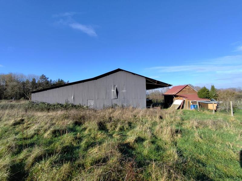 Bureau - 440 m² - 2 pièces