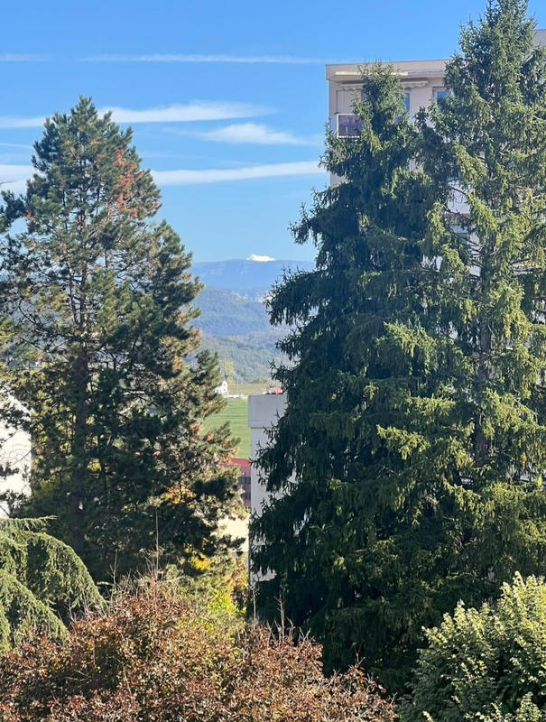 Appartement - 70 m² - 4 pièces