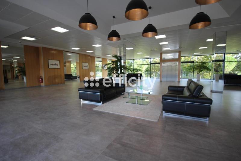 Bureau - 50 m² - 1 pièce