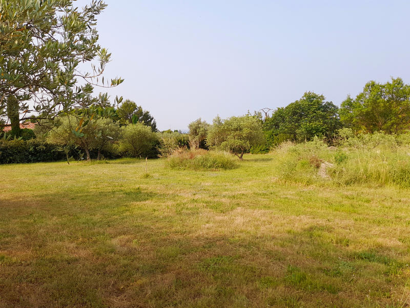 Terrain - 781 m²