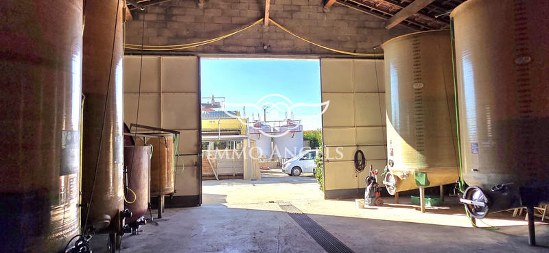 Mas - 240 m² - 13 pièces