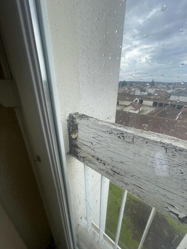 Appartement - 72 m² - 4 pièces