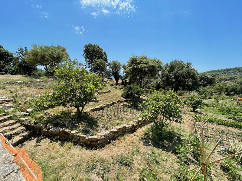 Maison - 240 m² - 11 pièces