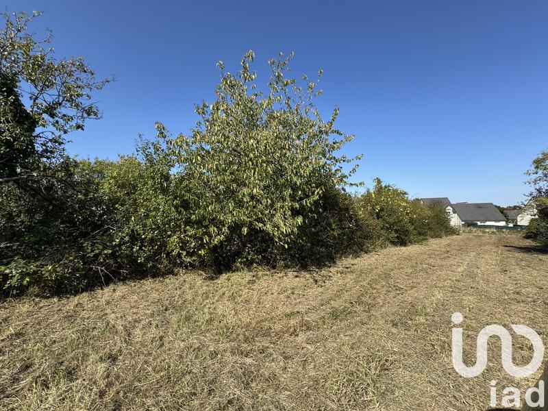 Terrain - 1 132 m²