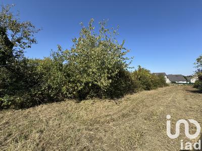 Terrain - 1 132 m²