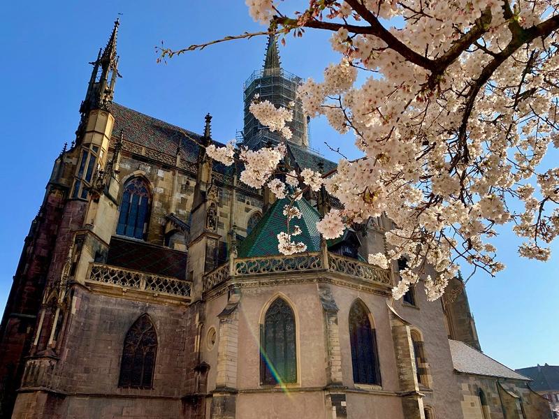 Escape Game : on a volé le doigt de Saint-Thiébaut