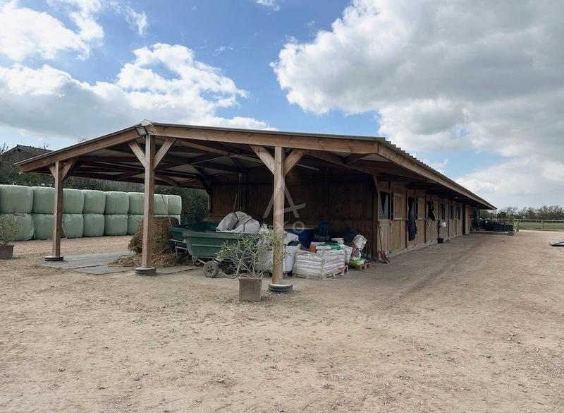 Haras - 75 m² - 3 pièces