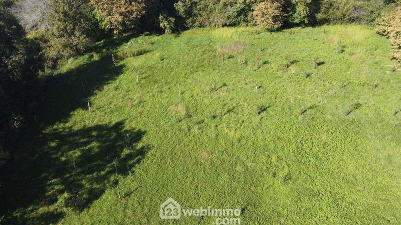 Ferme - 261 m² - 13 pièces