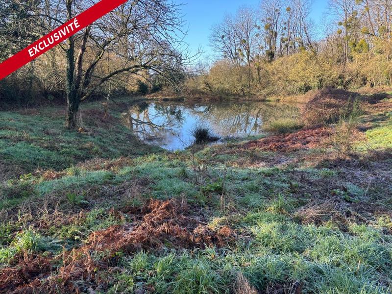 Terrain de loisirs - 3 800 m²