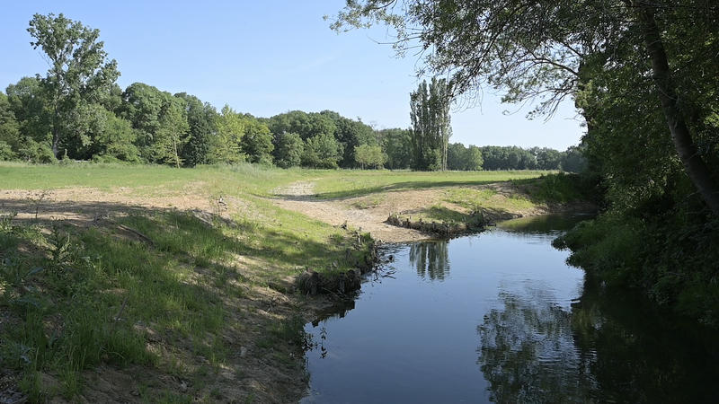 La Petite Mosson Dans la Prairie