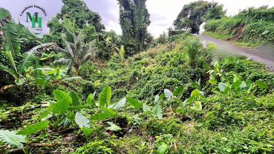 Terrain constructible - 2 583 m²