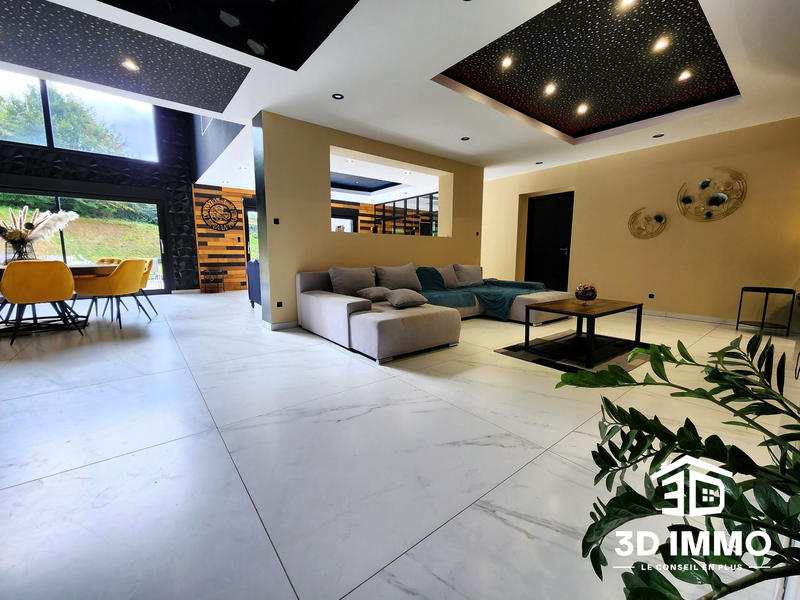 Maison - 325 m² - 8 pièces