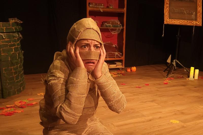 Le Bureau des Monstres Théâtre burlesque interactif pour les 3-6 ans