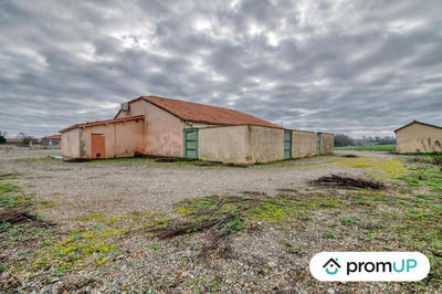 Local commercial - 6 000 m² - 1 pièce