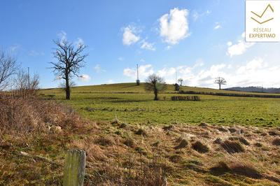 Maison - 168 m² - 5 pièces