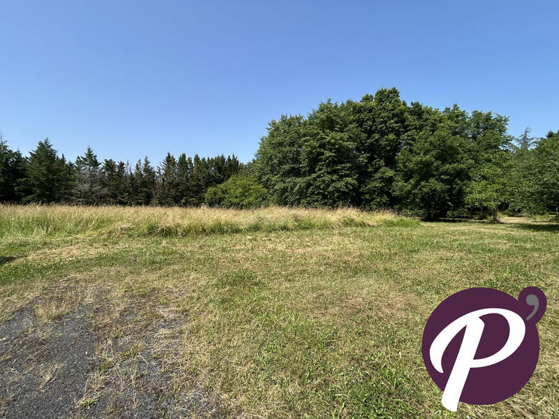 Maison ancienne - 237 m² - 7 pièces