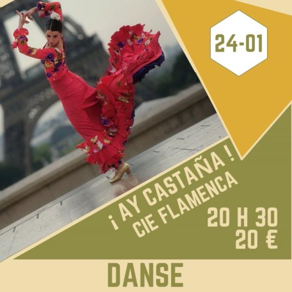 ! Ay Castaña ! [Séchoir d'Aillac]