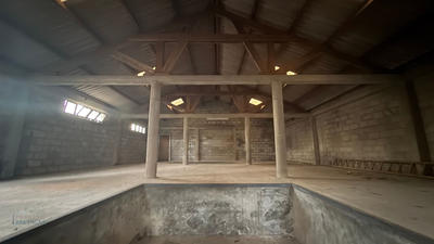 Local d'activité / Entrepôt - 294 m²