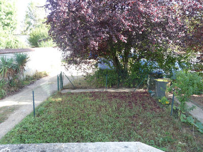 Appartement - 31 m² - 1 pièce