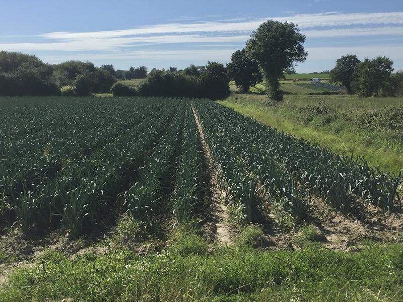 Concours photo amateurs : la vie à Tourneville-sur-mer, ses habitats, ses habitants, ses milieux