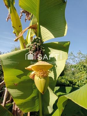 Maison - 240 m² - 8 pièces