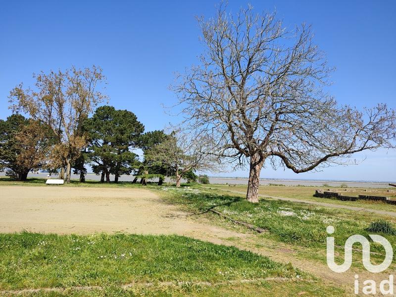 Maison - 206 m² - 5 pièces