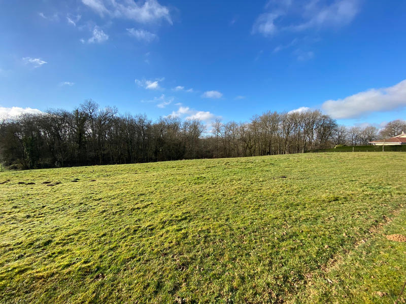 Terrain constructible - 1 570 m²