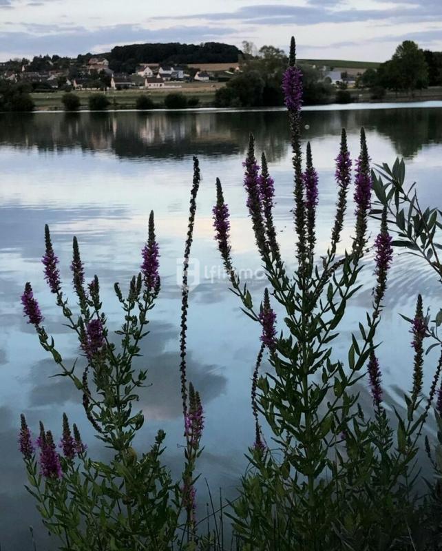 Maison - 147 m² - 8 pièces