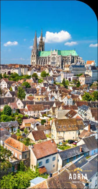 Appartement - 85 m² - 4 pièces