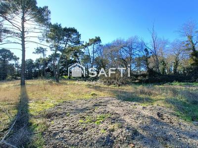 Terrain - 730 m²
