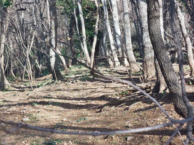 Terrain constructible - 1 361 m²