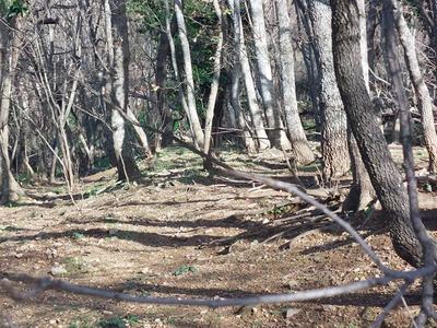 Terrain constructible - 1 361 m²