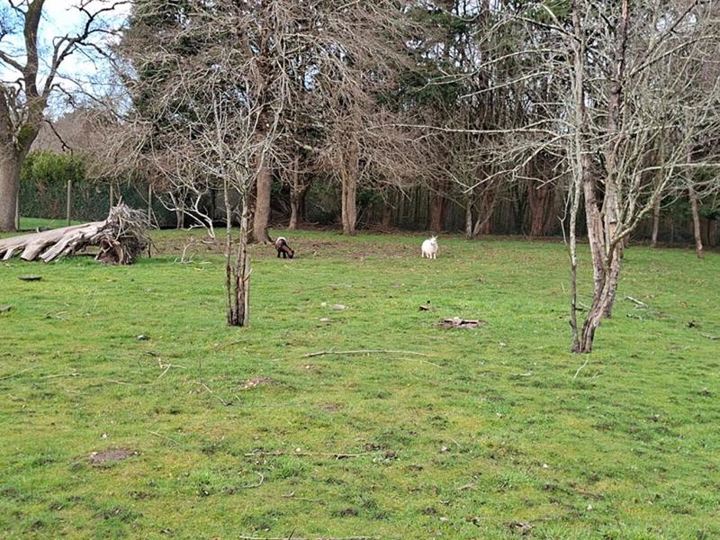 Maison - 111 m² - 6 pièces