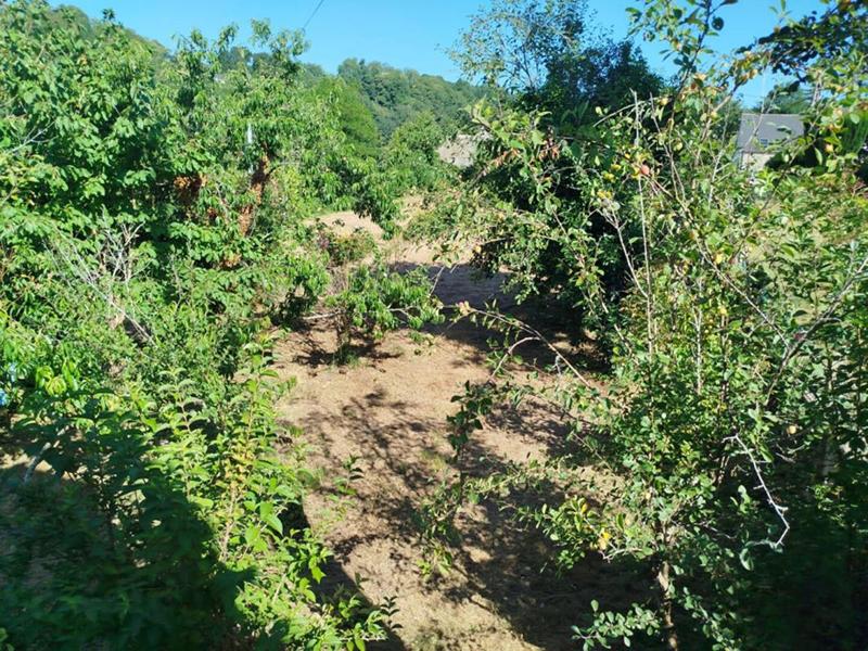 Maison - 70 m² - 4 pièces