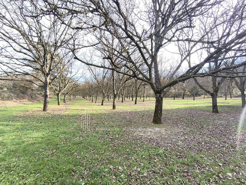 Bastide - 165 m² - 8 pièces
