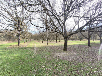 Bastide - 165 m² - 8 pièces