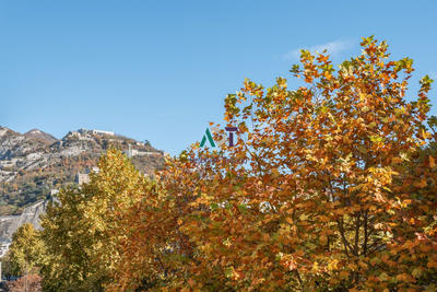 Appartement - 110 m² - 4 pièces