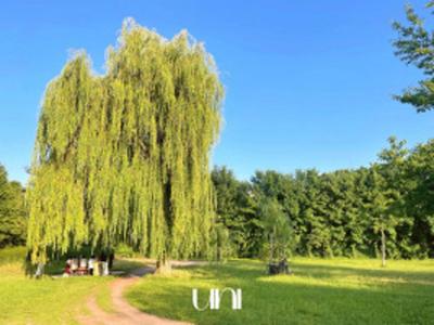 Duplex - 95 m² - 4 pièces