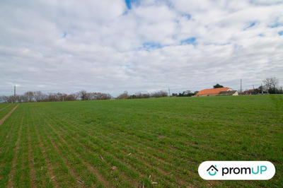 Terrain agricole - 8 000 m²