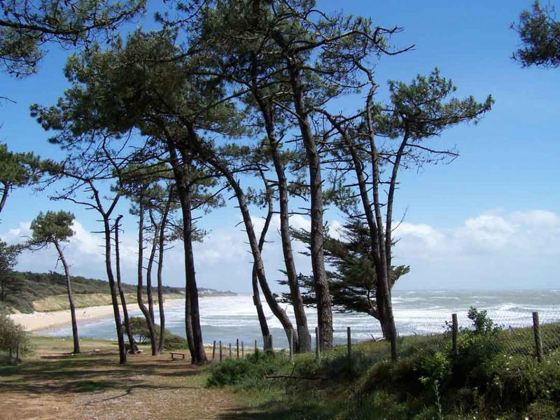 Appartement - 32 m² - 1 pièce