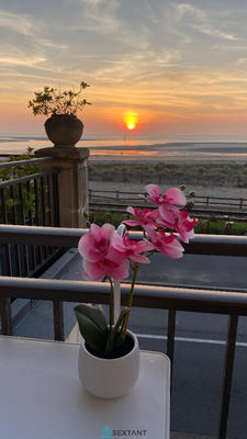 Appartement - 18 m² - 1 pièce