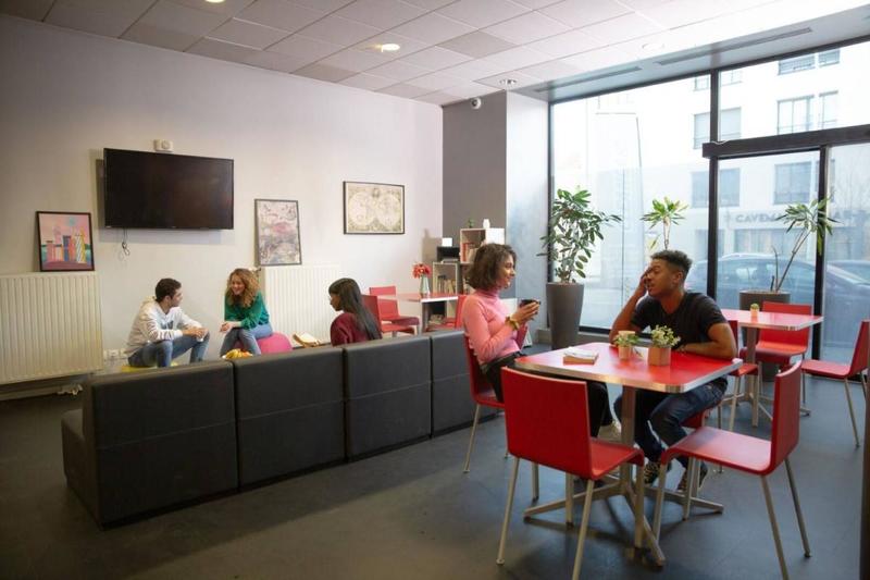 Studio - 19 m² - 1 pièce