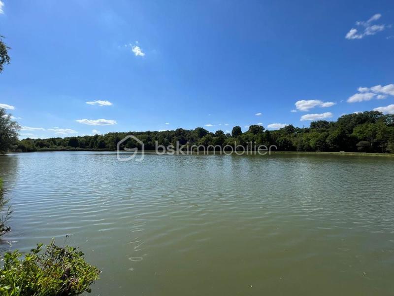 Terrain de loisirs - 3 599 m²