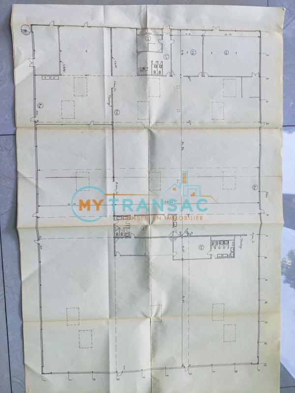 Local d'activité / Entrepôt - 3 699 m²