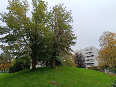 Appartement - 53 m² - 2 pièces