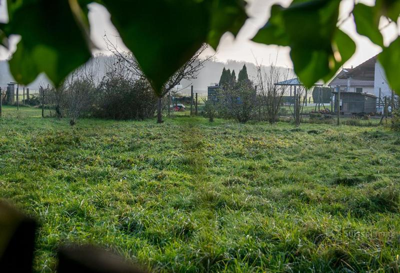 Maison - 305 m² - 10 pièces