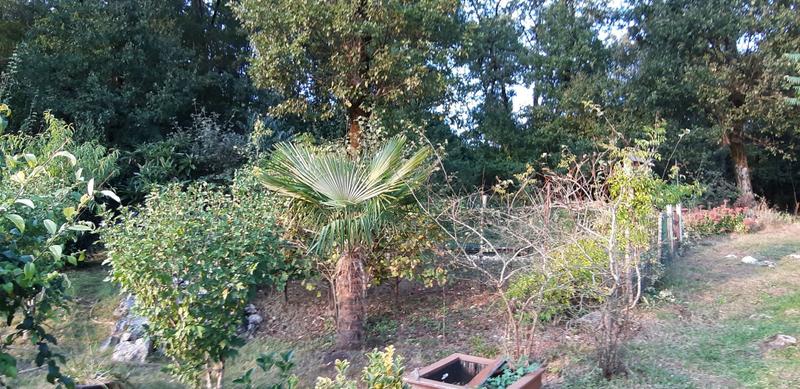 Maison - 136 m² - 6 pièces