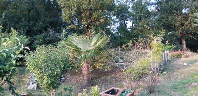 Maison - 136 m² - 6 pièces