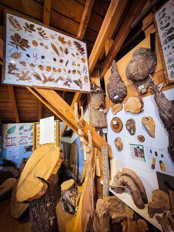 Visite en famille du musée du bois
