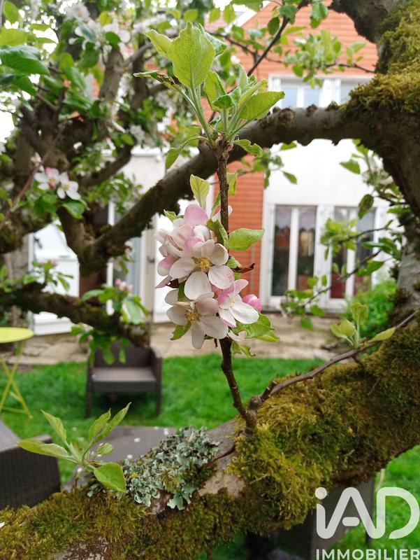 Maison - 185 m² - 8 pièces